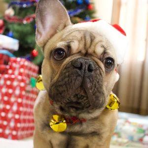 Meet your Posher, Katlynn